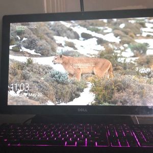 Touch screen dell pc computer